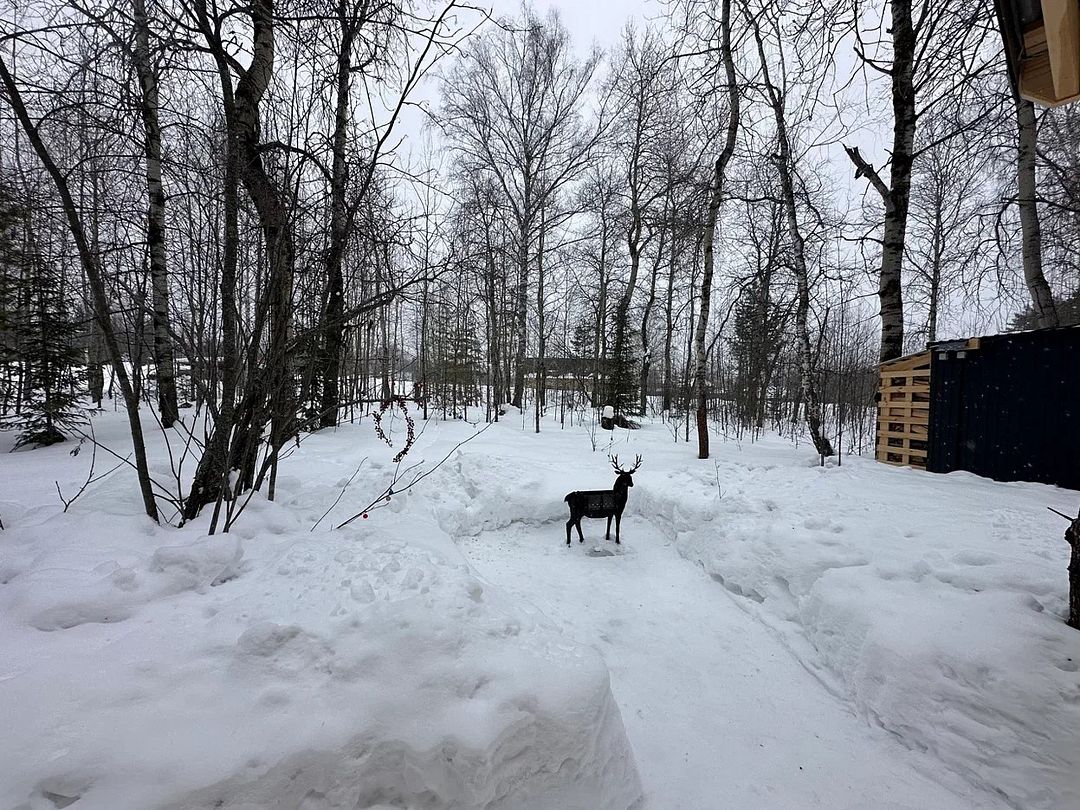 Панты, Свердловская область: фото 5