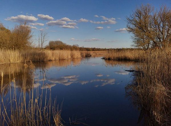 Река Усманка