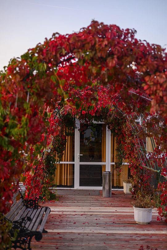 Порзамка, Владимирская область: фото 5