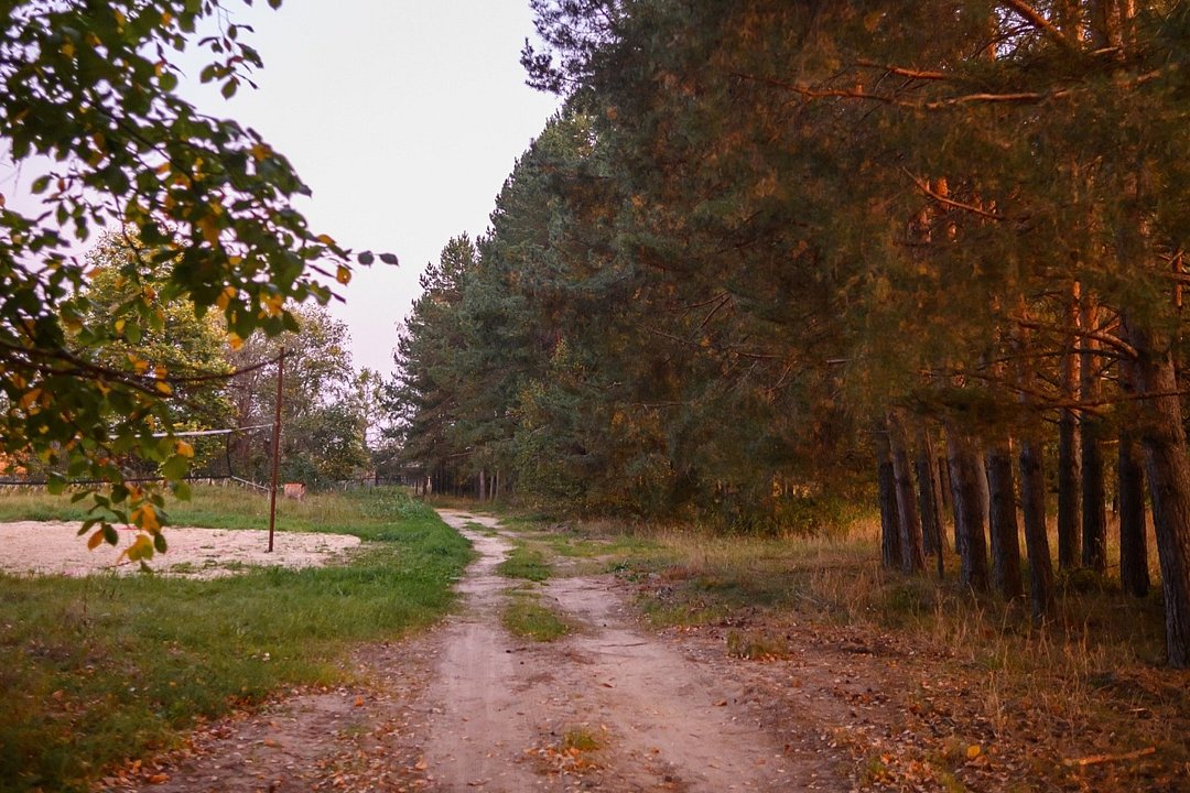 Порзамка, Владимирская область: фото 4