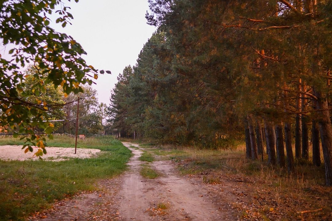 Порзамка, Владимирская область: фото 4