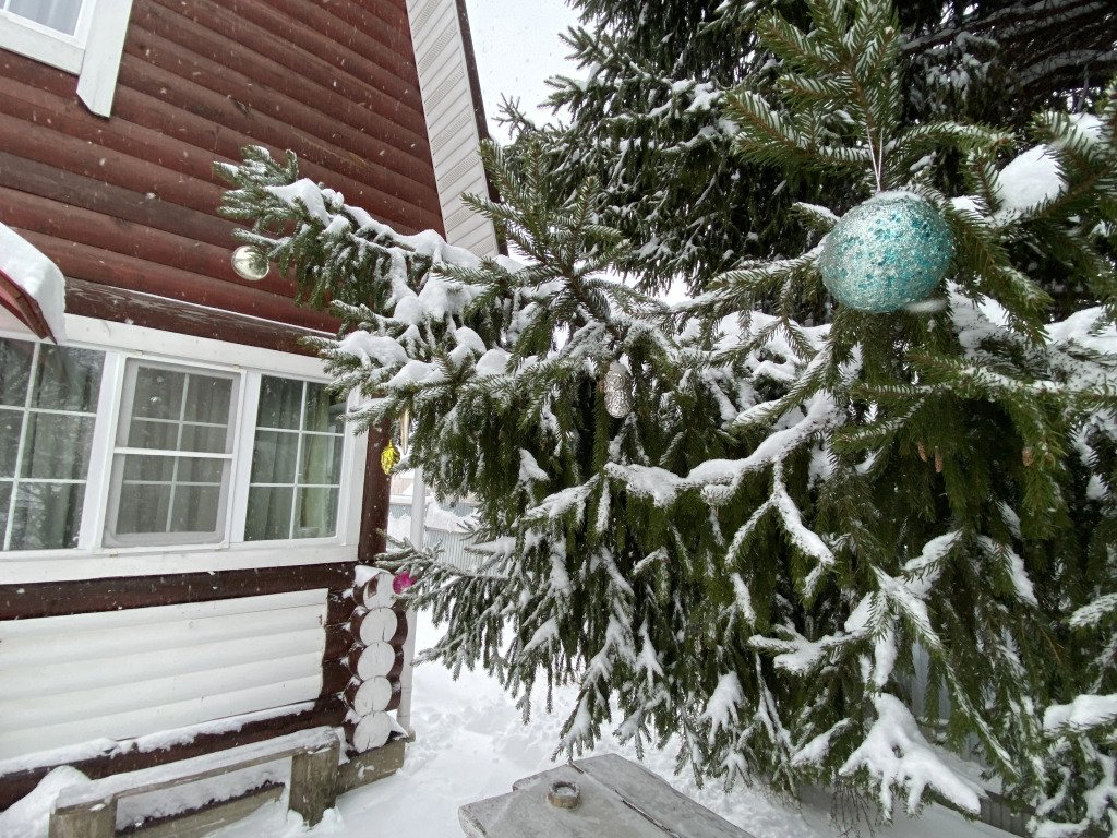 Частный дом на Волге, Ярославская область: фото 2