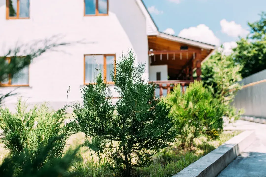 Гостевой дом Gostevaya Dacha Guest House (Гостевая дача), Республика Адыгея, Каменномостский 