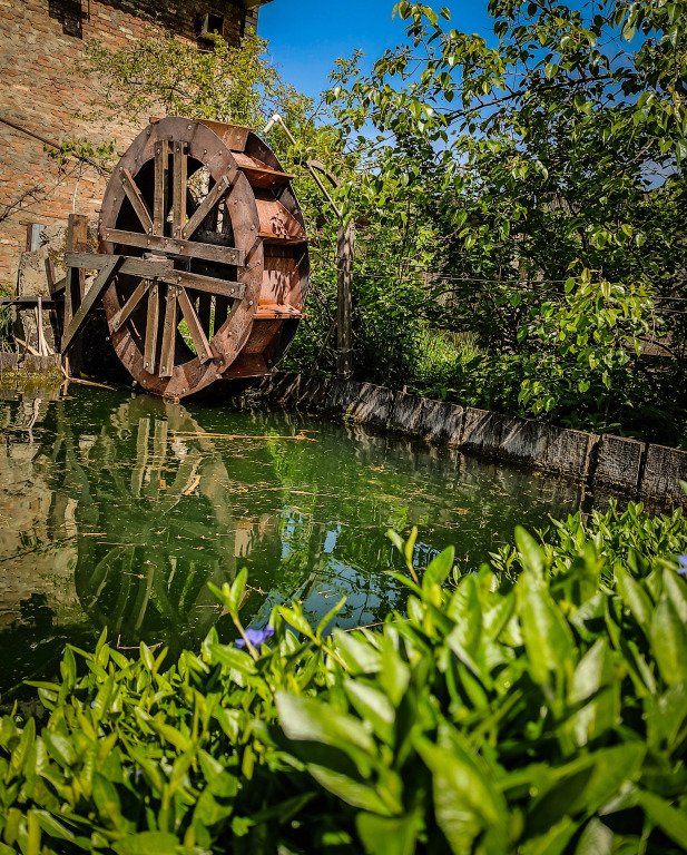 Частный дом Горная Роза, Республика Адыгея: фото 2