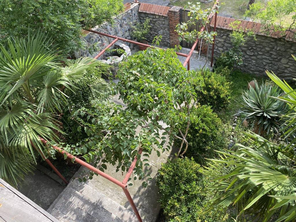 в Лагодехи, Кахетия: фото 4