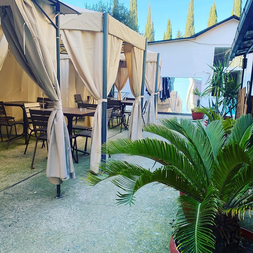 Лиана, Краснодарский край: фото 3