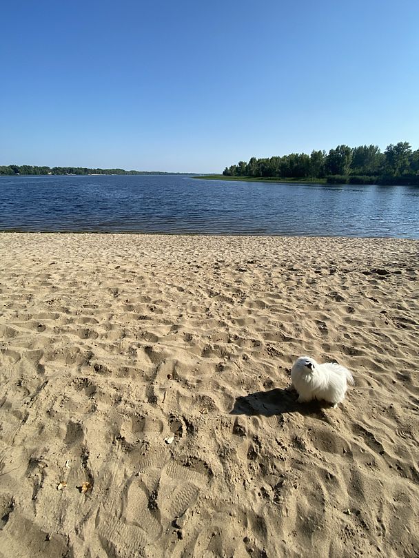 Пляж, Саратовская область: фото 2