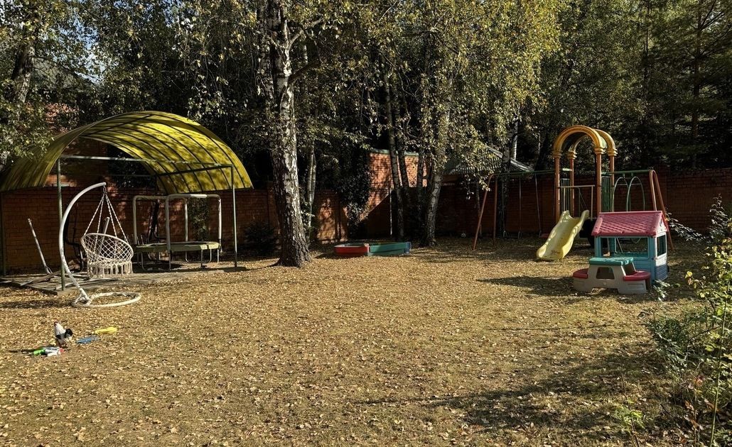 Грибки, Московская область: фото 4