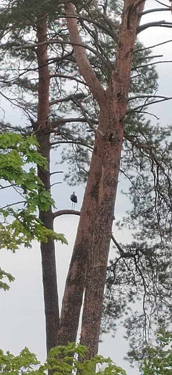 Фото из отзыва от 03.05.2025