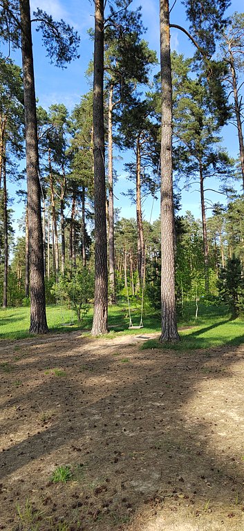 Фото из отзыва от 03.05.2025