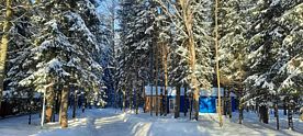 Барн Хаус «Таежный», Клуб отдыха Грин форест, Конаково