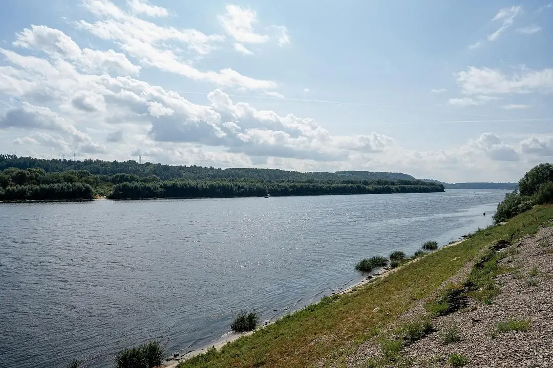 Глэмпинг-парк Южный берег, Нижегородская область: фото 5