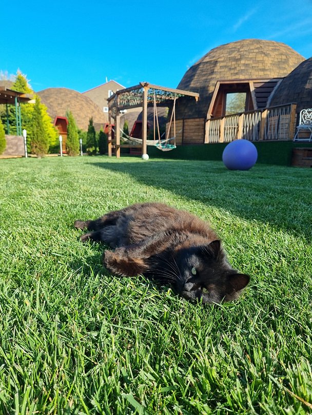 АтмосфЭра, Краснодарский край: фото 4