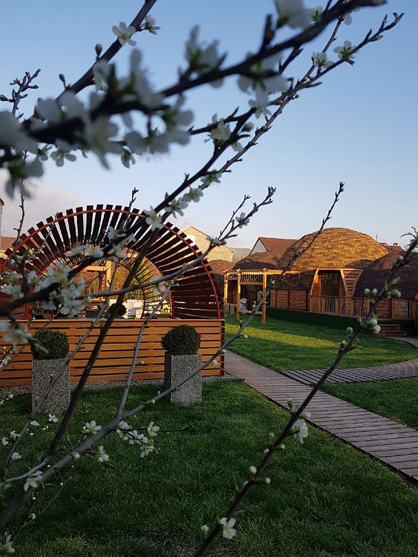 АтмосфЭра, Краснодарский край: фото 3