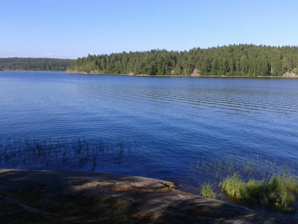 Берег Ладоги, Республика Карелия: фото 5
