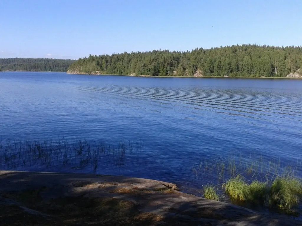 Берег Ладоги, Республика Карелия: фото 5
