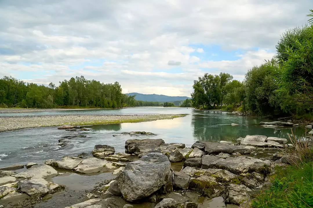 Медвежий угол, Алтайский край: фото 4
