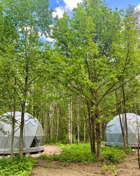 Сфера 2-местный 1-комнатный (Малая)