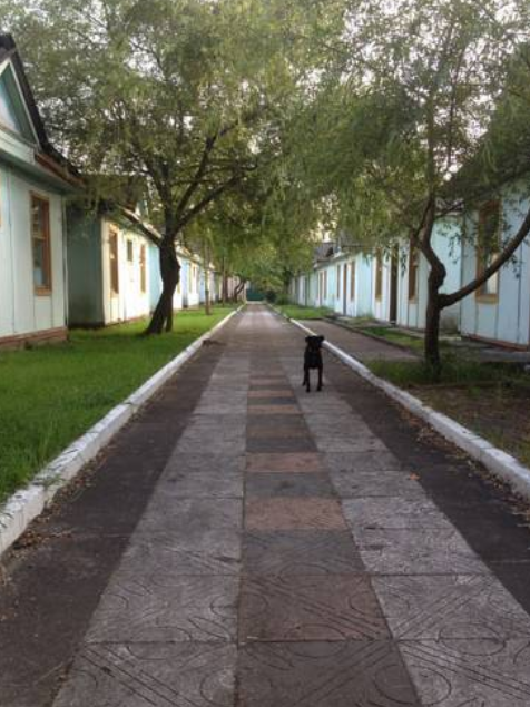 База отдыха Тур-сервис, Вардане, Краснодарский край