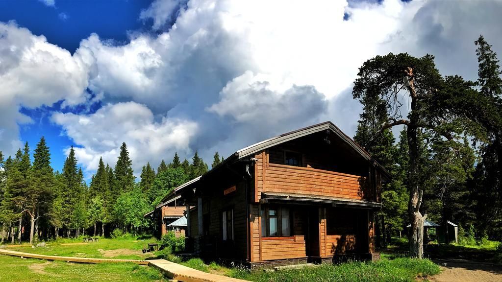 Cedar Grass Белое Море, Мурманская область: фото 2