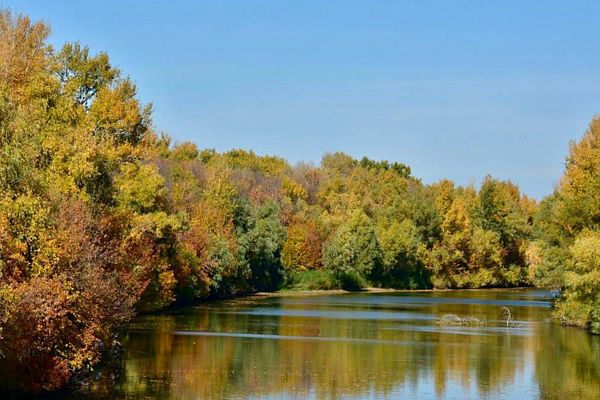 Река Митинка