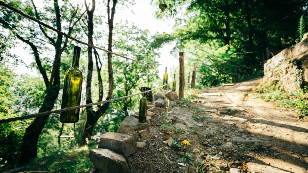 Wine Space, Квемо Сванетия (Нижняя Сванетия): фото 3