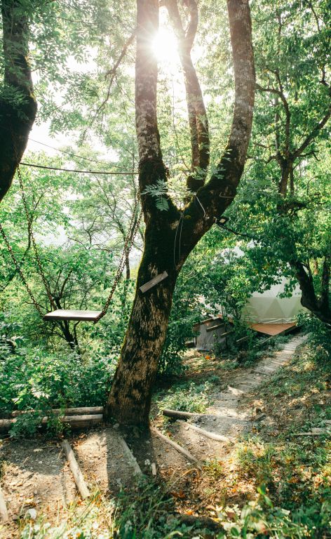 Wine Space, Квемо Сванетия (Нижняя Сванетия): фото 4