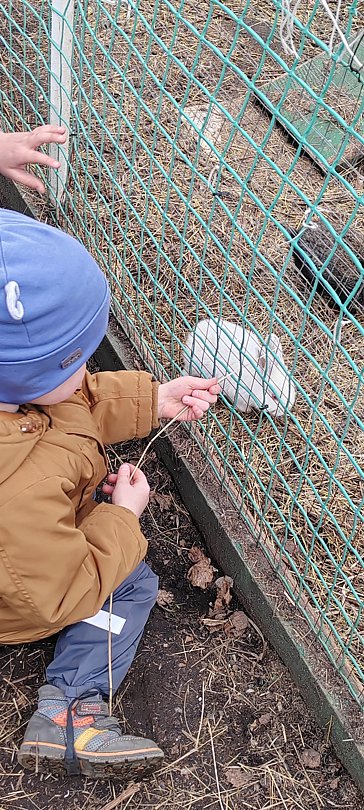 Фото 3 из отзыва о загородном комплексе Солнечный остров