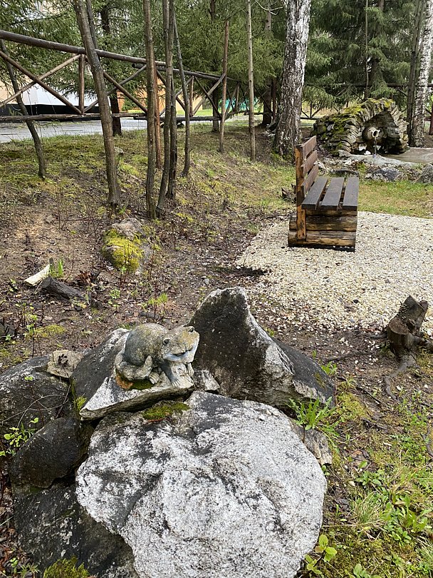 Фото 4 из отзыва о базе отдыха Светлая