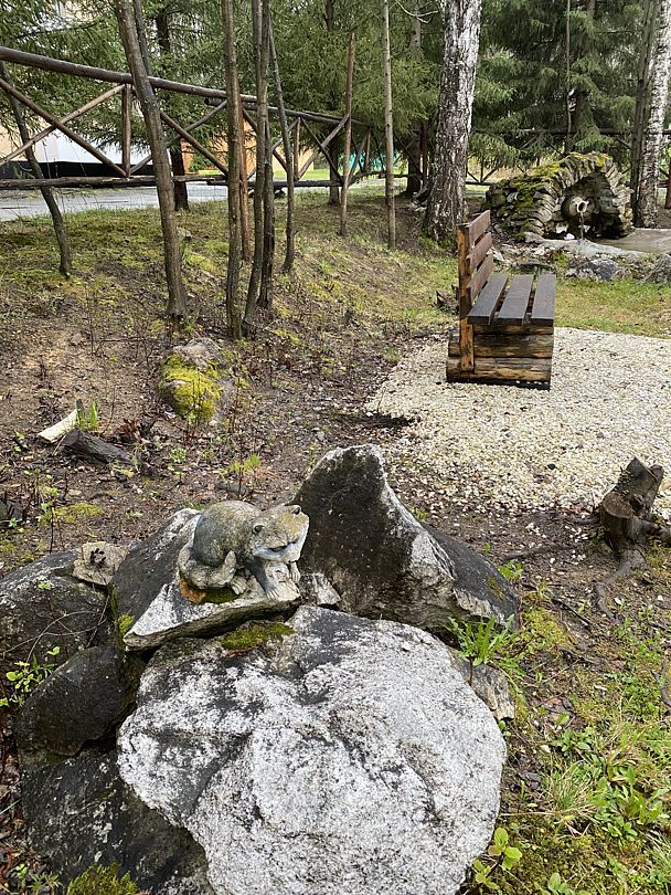 Фото 4 из отзыва о базе отдыха Светлая