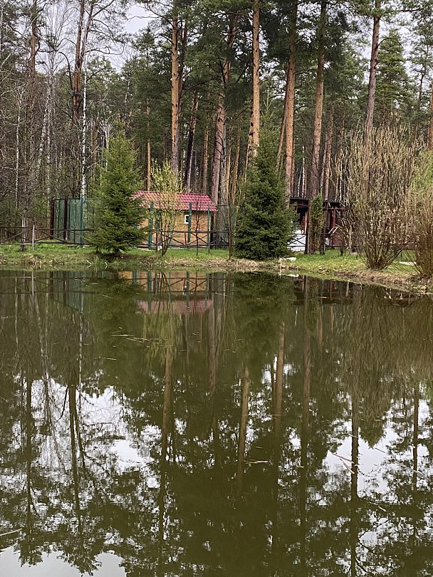 Фото 5 из отзыва о базе отдыха Светлая