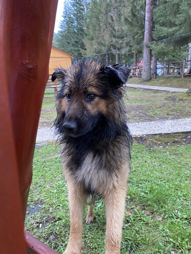 Фото 6 из отзыва о базе отдыха Светлая