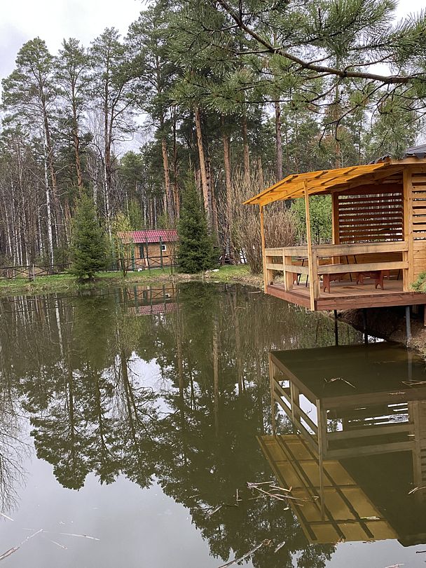 Фото 7 из отзыва о базе отдыха Светлая