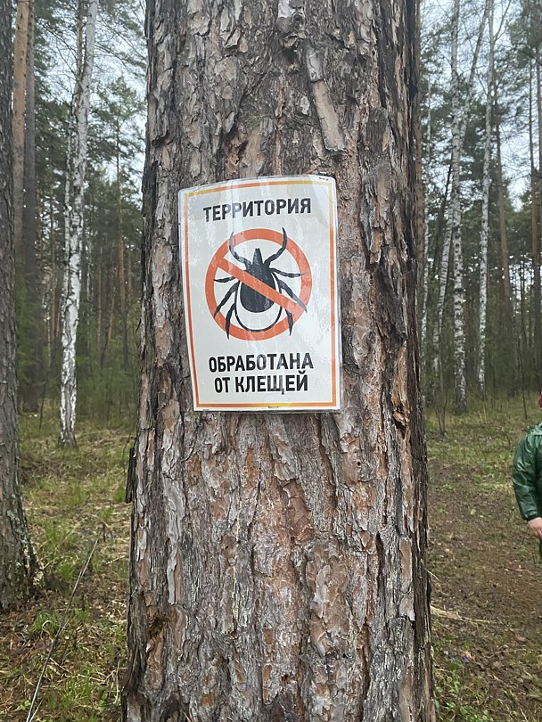 Фото 8 из отзыва о базе отдыха Светлая