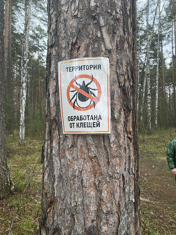 Фото 8 из отзыва о базе отдыха Светлая