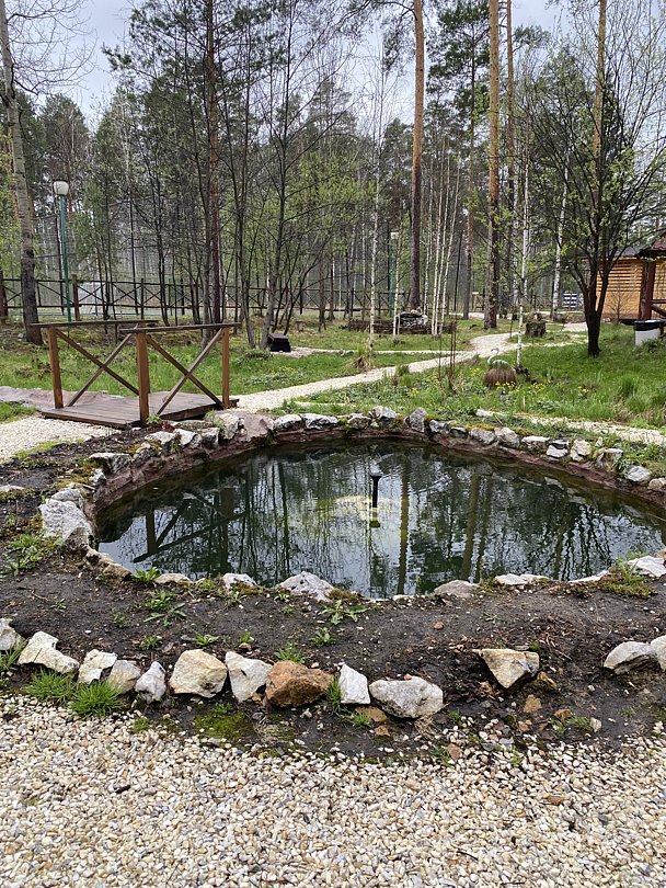 Фото 9 из отзыва о базе отдыха Светлая