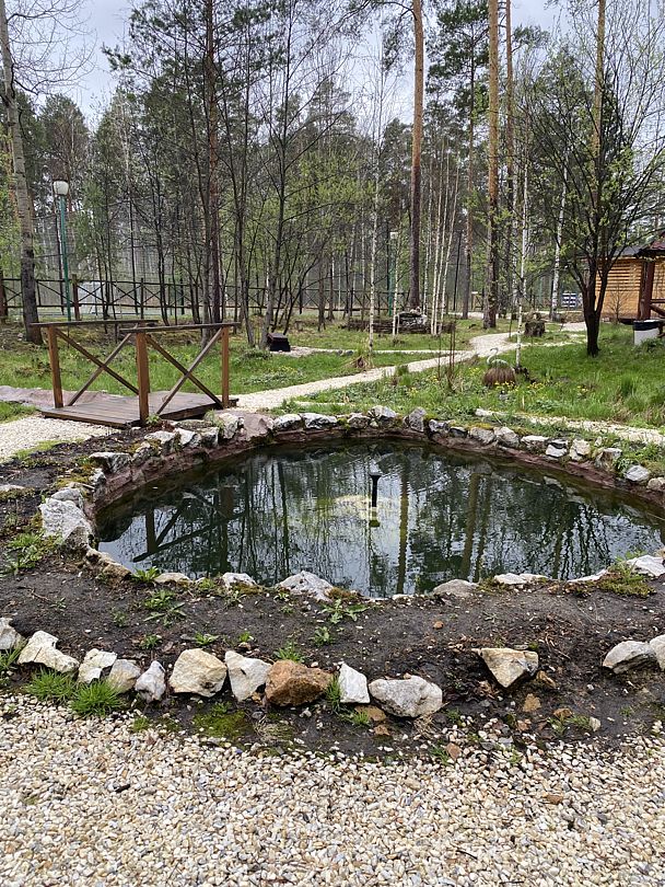 Фото 9 из отзыва о базе отдыха Светлая