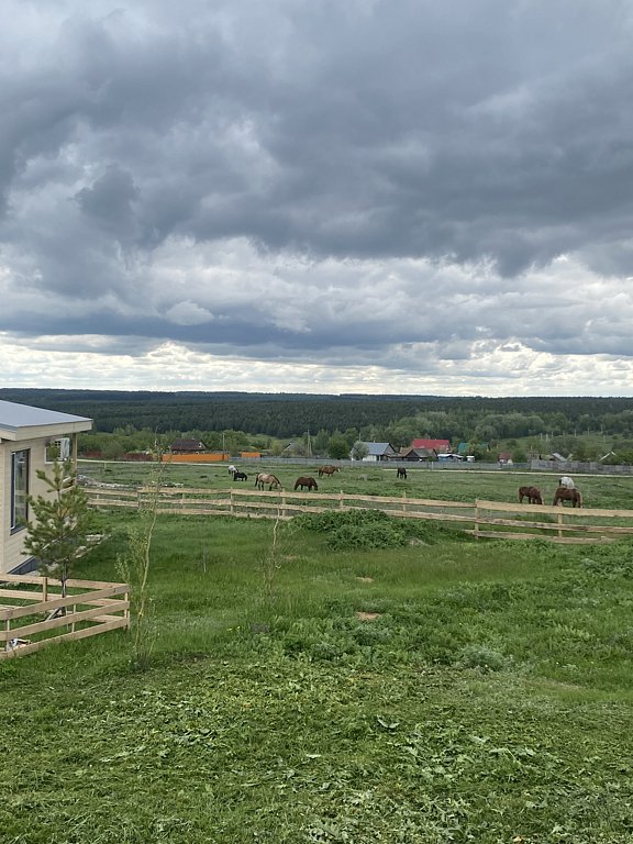 Фото из отзыва от 09.05.2025