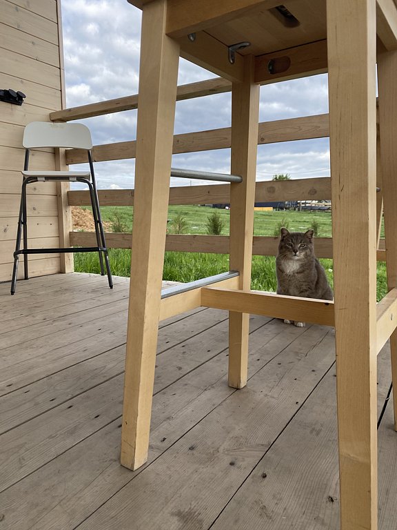 Фото из отзыва от 09.05.2025