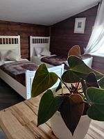 Двухместный номер Standard с красивым видом из окна 2 отдельные кровати, База отдыха Каменские Плёсы, Камень-на-Оби