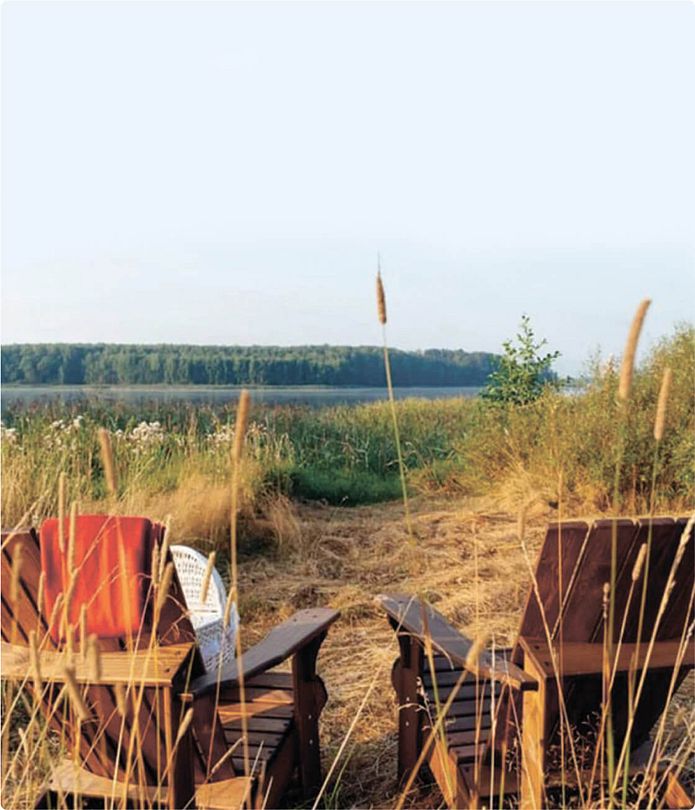 Глэмпинг 2-местный 1-комнатный (мини-дом)