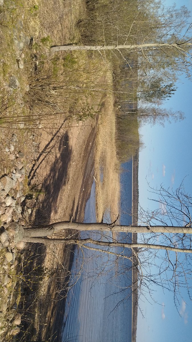 Фото 5 из отзыва о базе отдыха 7 пятниц