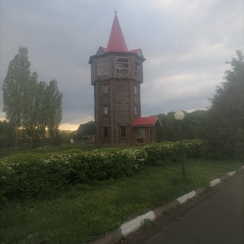 Фото 1 из отзыва о парк-отеле Кленовая роща