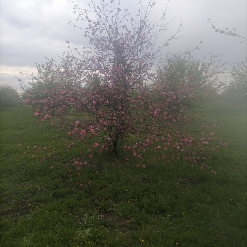 Фото 3 из отзыва о парк-отеле Кленовая роща