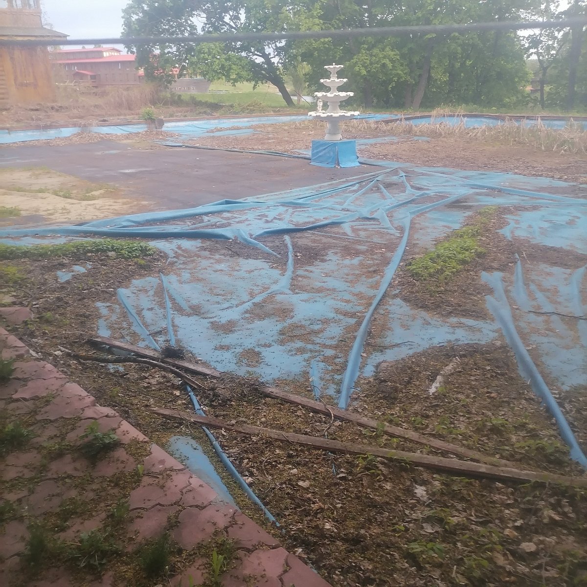 Фото 10 из отзыва о парк-отеле Кленовая роща