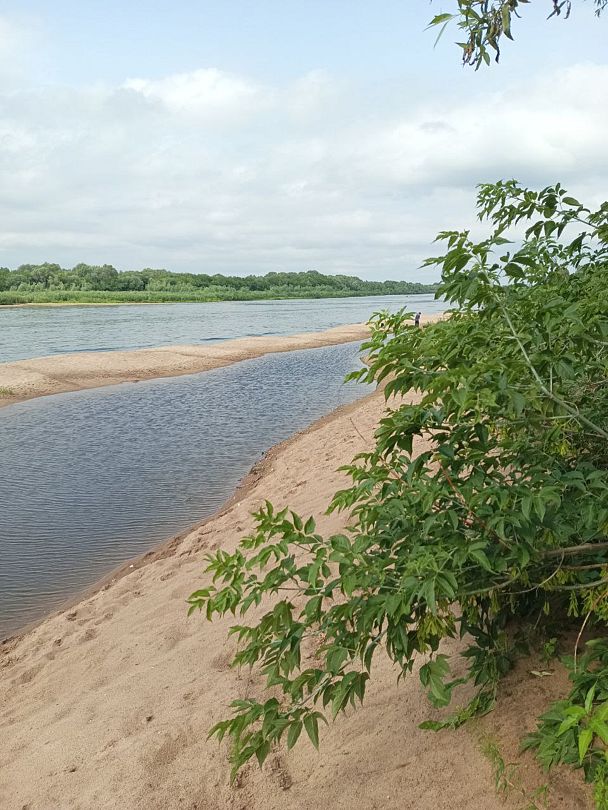 Общий вид | Лесной сон, Тульская область