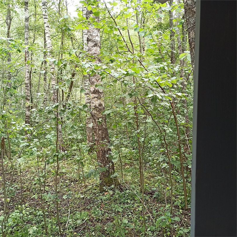 Домик 2-местный 1-комнатный (Дачника)