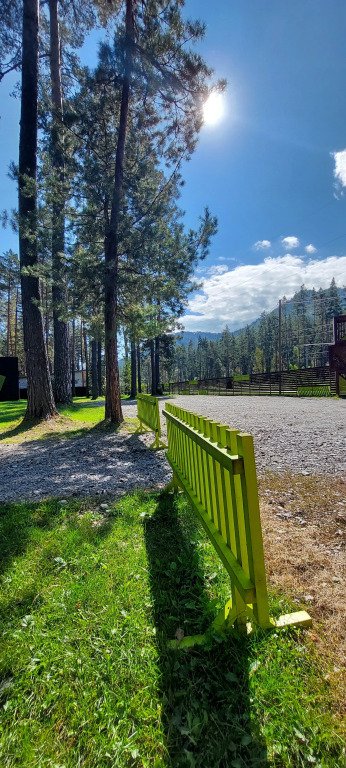 Wood Park (ex. Shishka Hotel), Горный Алтай (Республика Алтай): фото 4