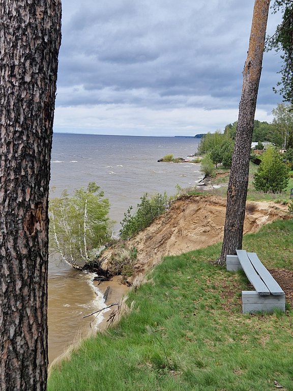 Фото из отзыва от 08.05.2025