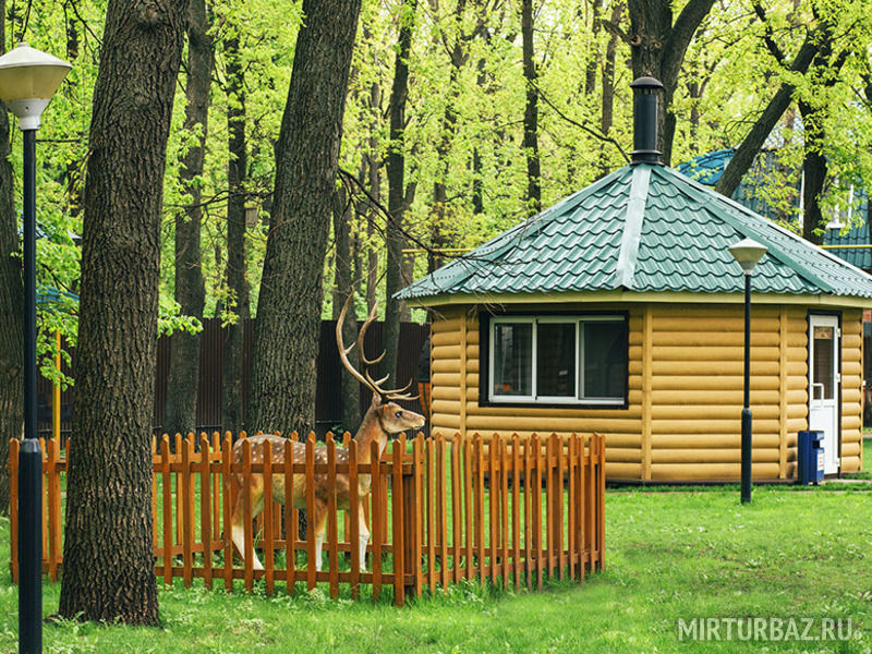 Дубрава, Ульяновская область: фото 5